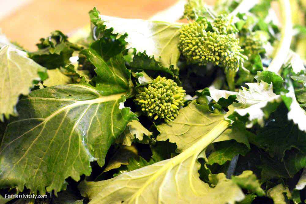 Image: Cime di rapa turnip greens to make the sauce for the orecchiette southern Italian dish. Photo by Fearlessly Italy