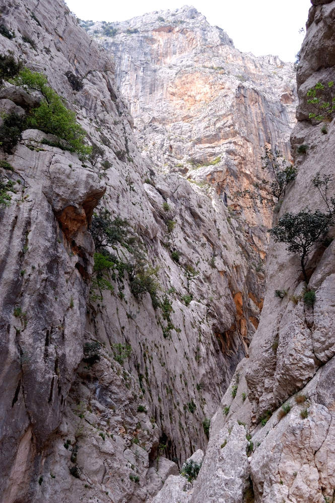 Image of Gorroppu canyon in Sardinia, natural landscape one of the reasons to visit Italy