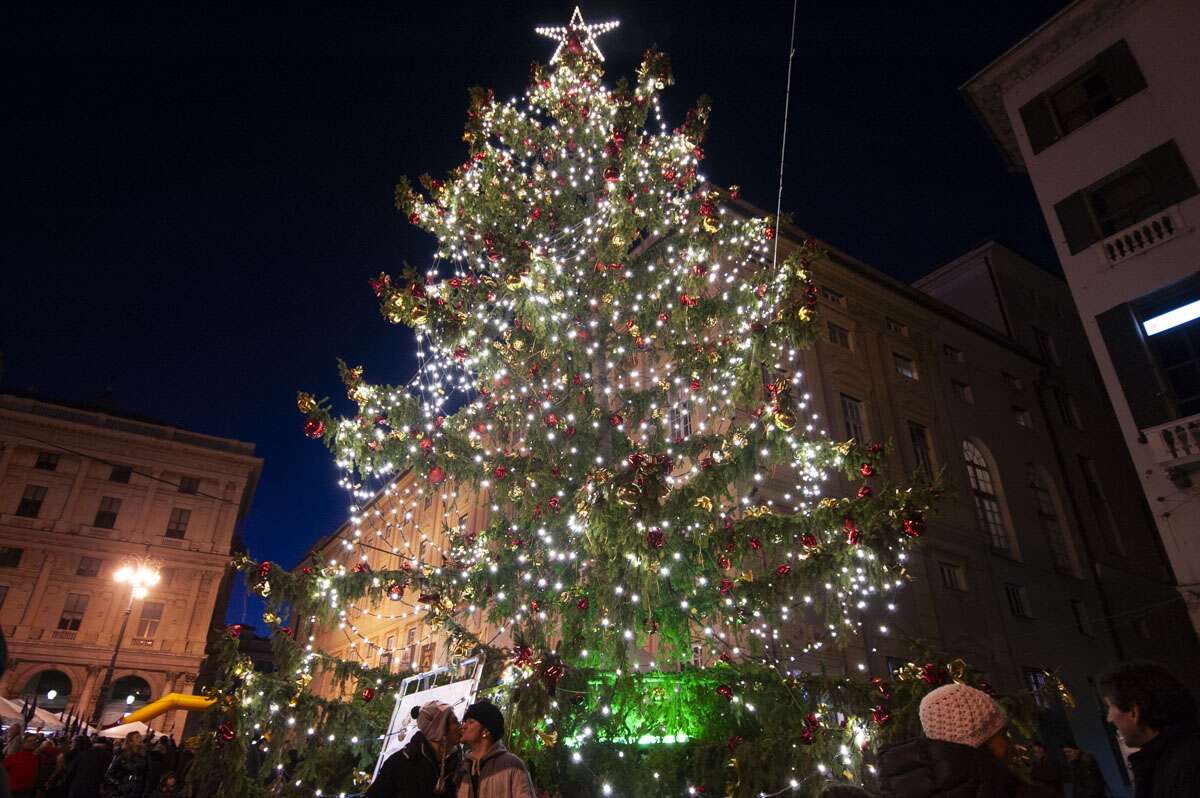 Image: Christmas tree in Genoa city center.