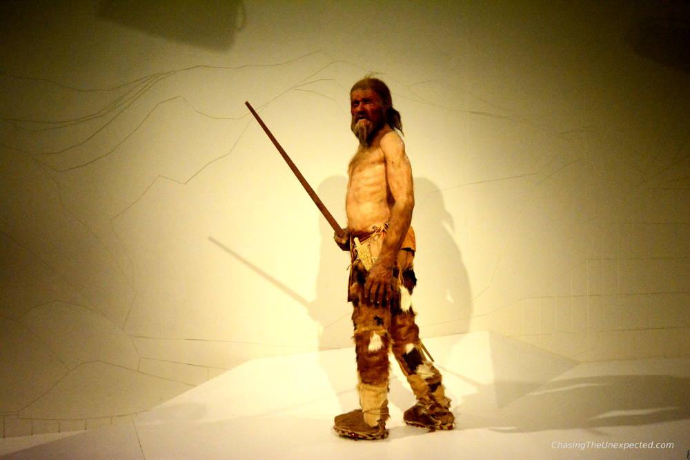 Image: Alto Adige Archaeological Museum one of the things to do in Bolzano
