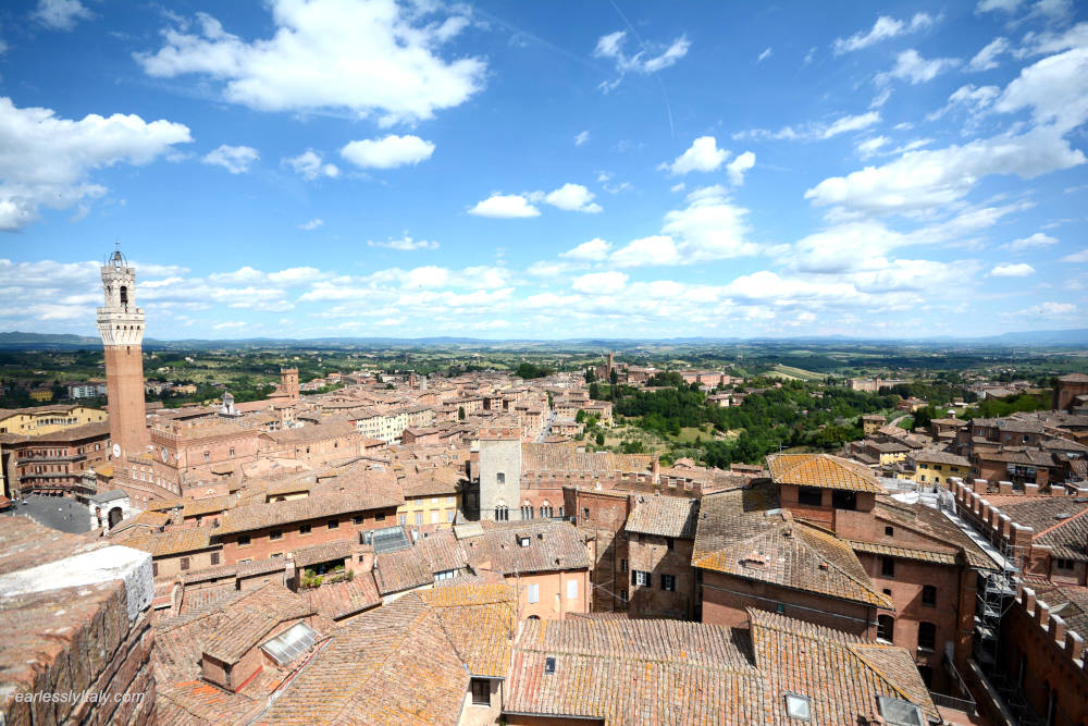 Image: Siena rooftops